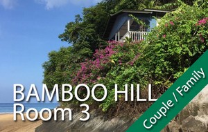 BAMBOO HILL - Room #3 - 1 x double bed + 1 x single bed